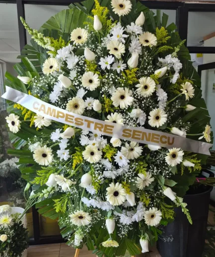 Corona perritos, rosas y gerberas (jumbo) – Florería Paola